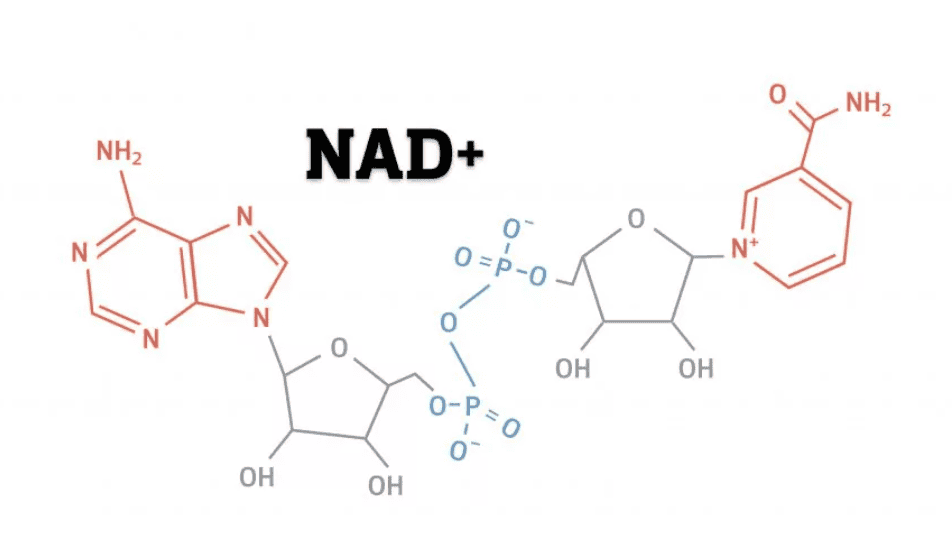 NAD